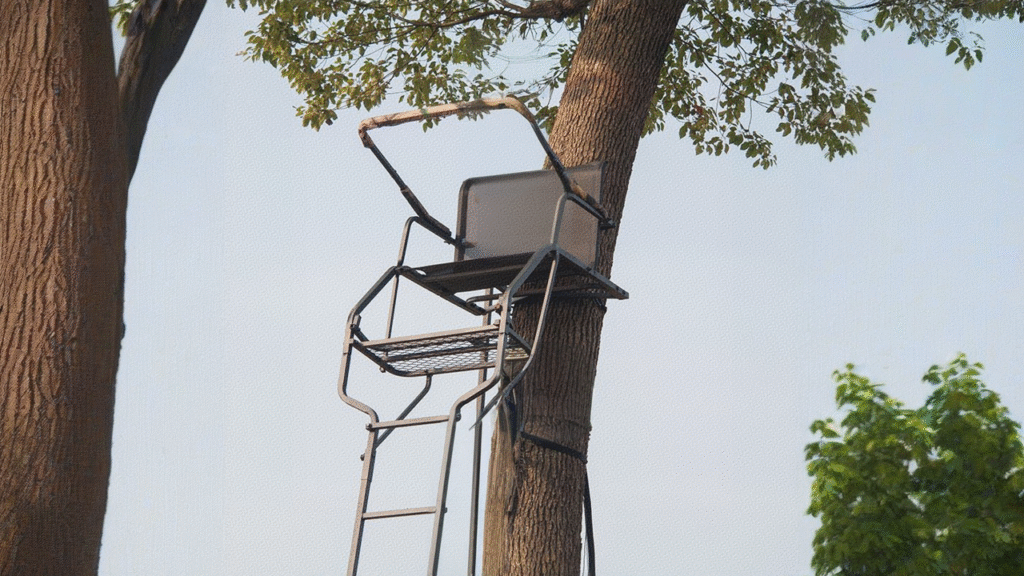 Best Tree Stands for Heavy Hunters (300+ lb Capacity Reviewed) 2 Tree Stand 2