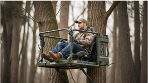 Tree Stand 3 2