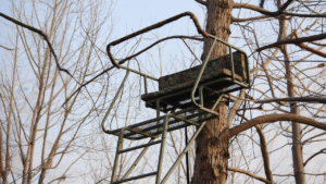 How to Choose Which Stand to Hunt 24 Description: Different Hunting Stands Strategically Placed In Various Environments, Showcasing Options For Location And Type Selection.